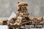 gluten free oatmeal fudge bars