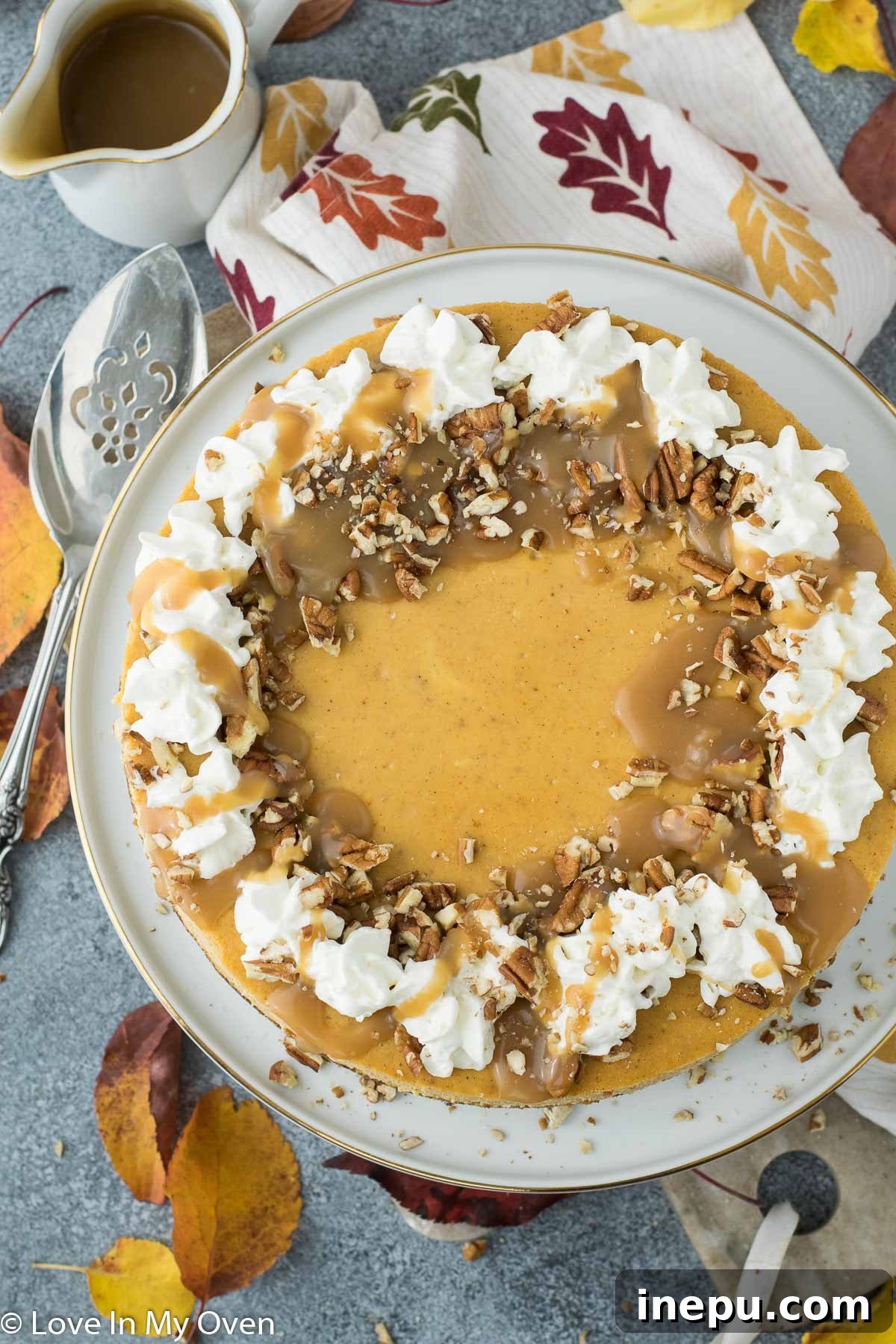 Pumpkin Caramel Cheesecake 7 Whole Caramel Pumpkin Cheesecake with a generous swirl of caramel and chopped pecans on top.
