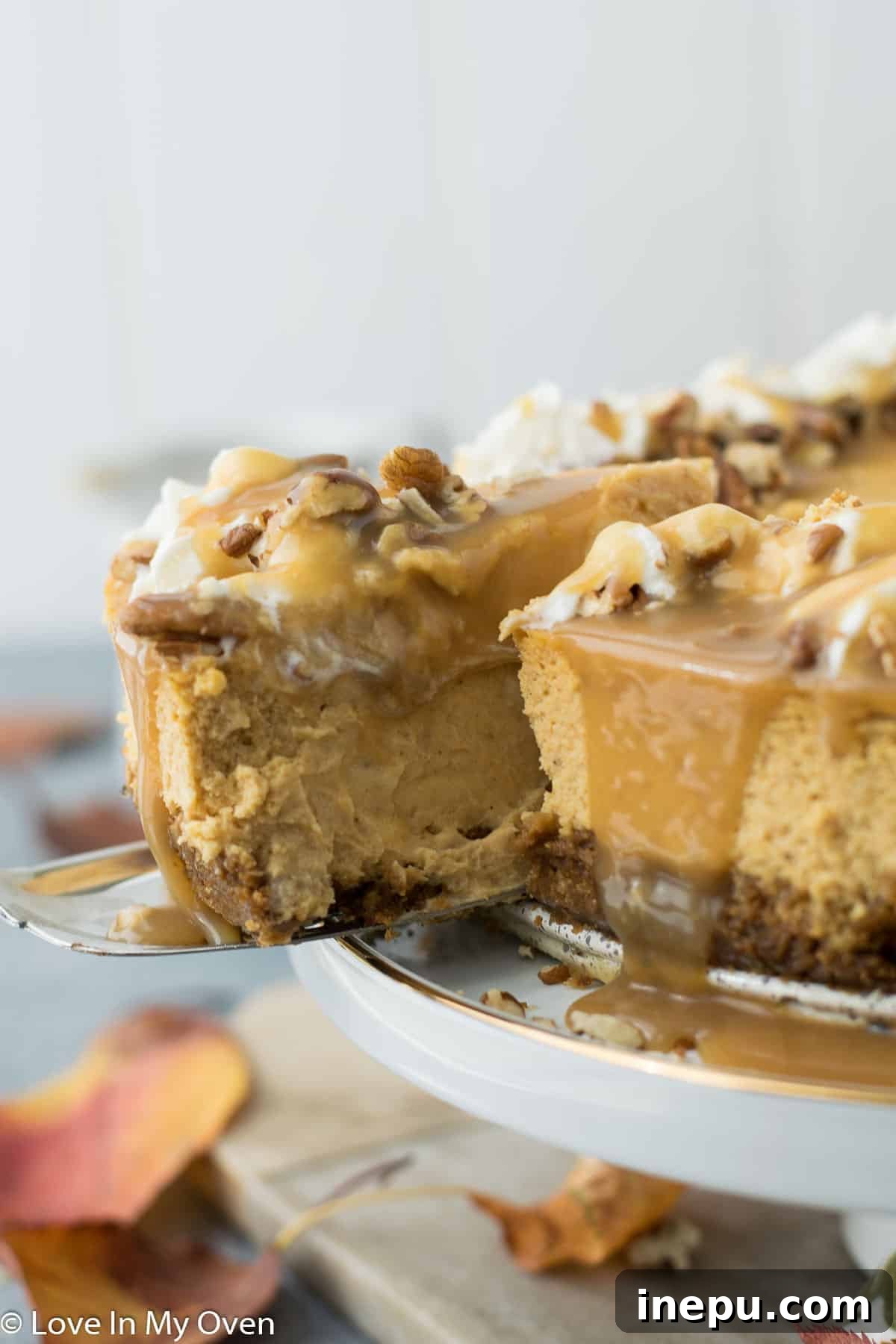Pumpkin Caramel Cheesecake 8 A perfectly baked Caramel Pumpkin Cheesecake slice, showing the smooth texture and golden crust.