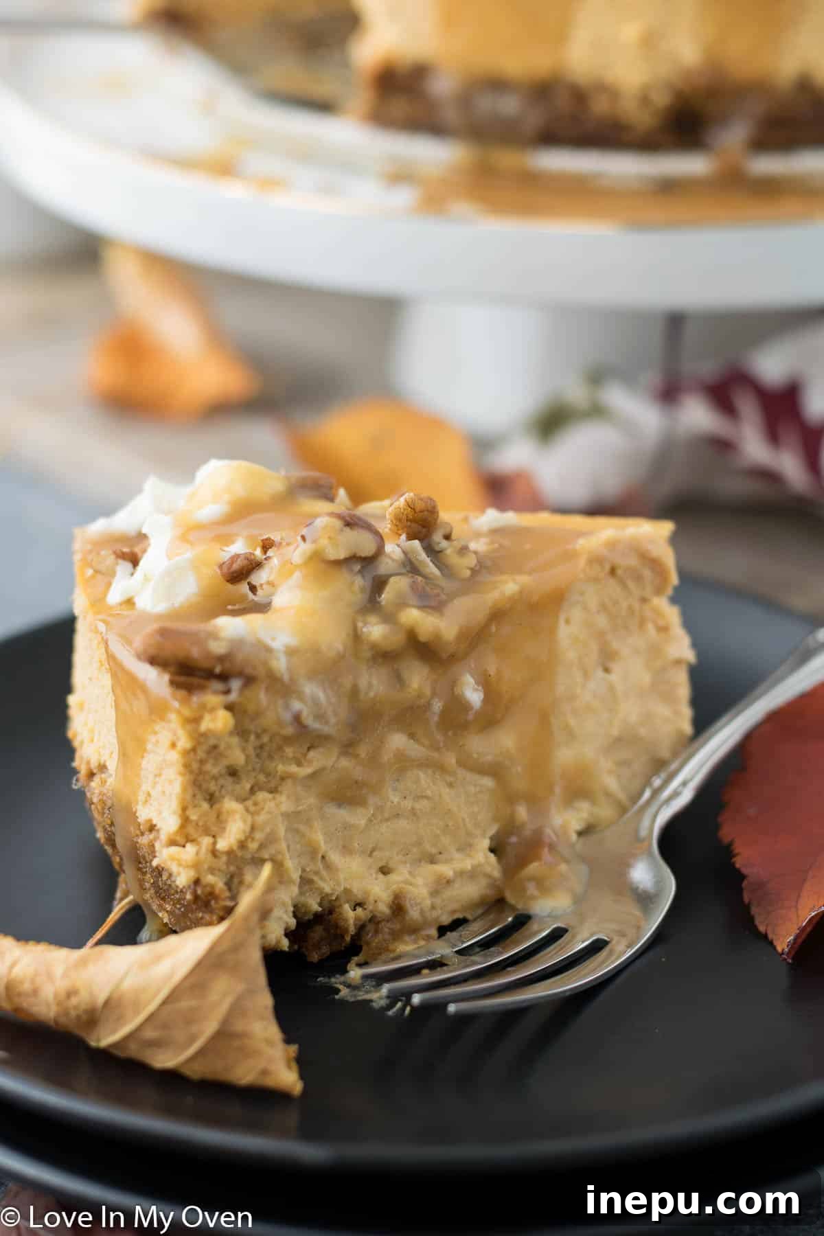 Pumpkin Caramel Cheesecake 9 Two slices of Caramel Pumpkin Cheesecake on a white plate, garnished with pecans and caramel.