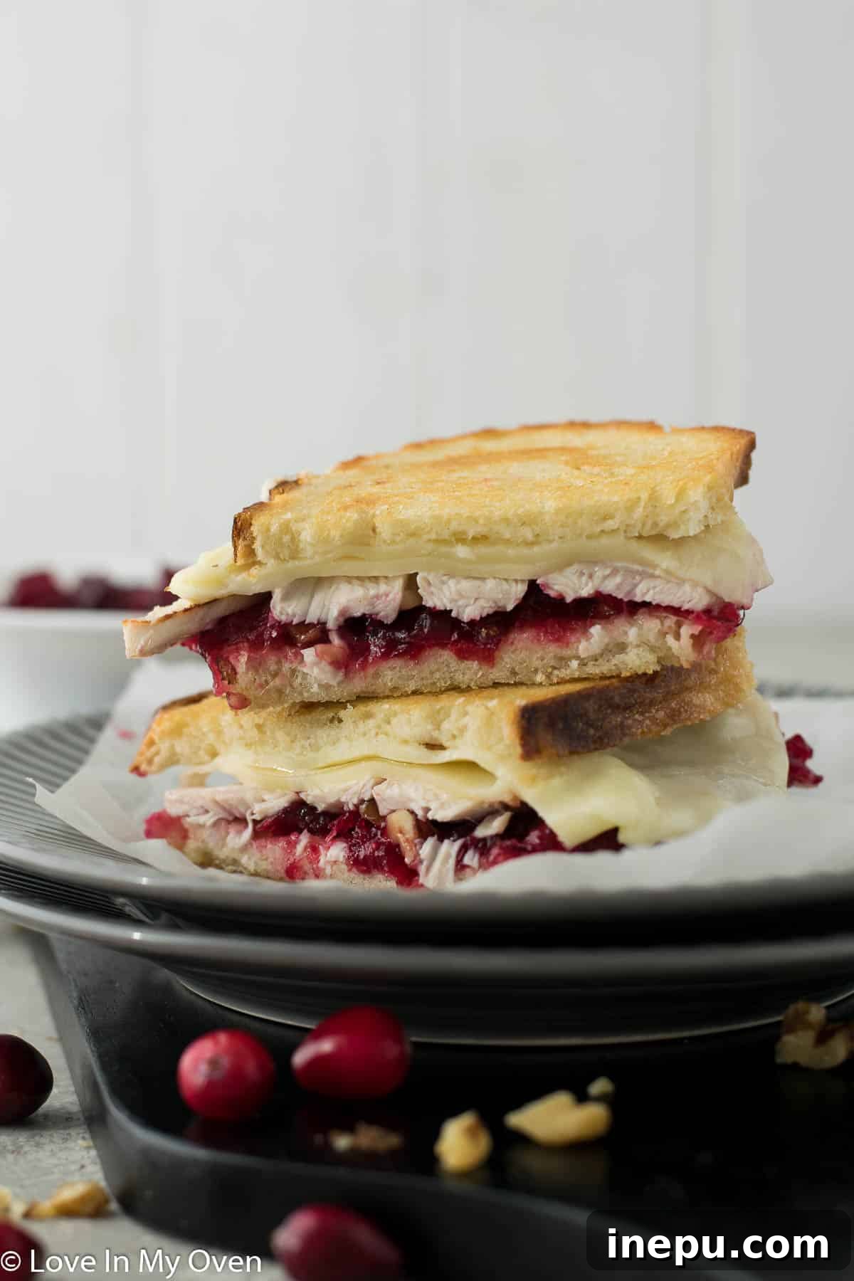 cranberry turkey sandwich