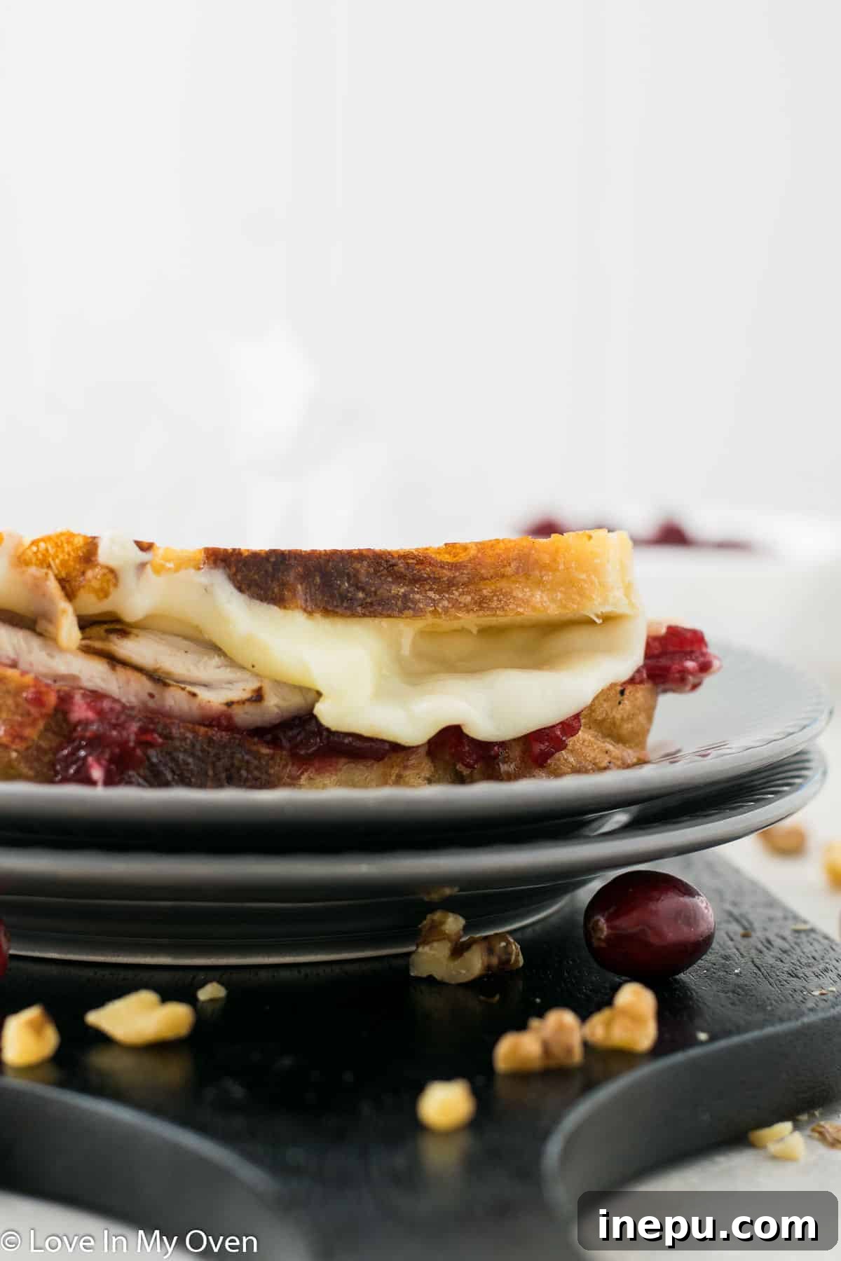 cranberry turkey sandwich