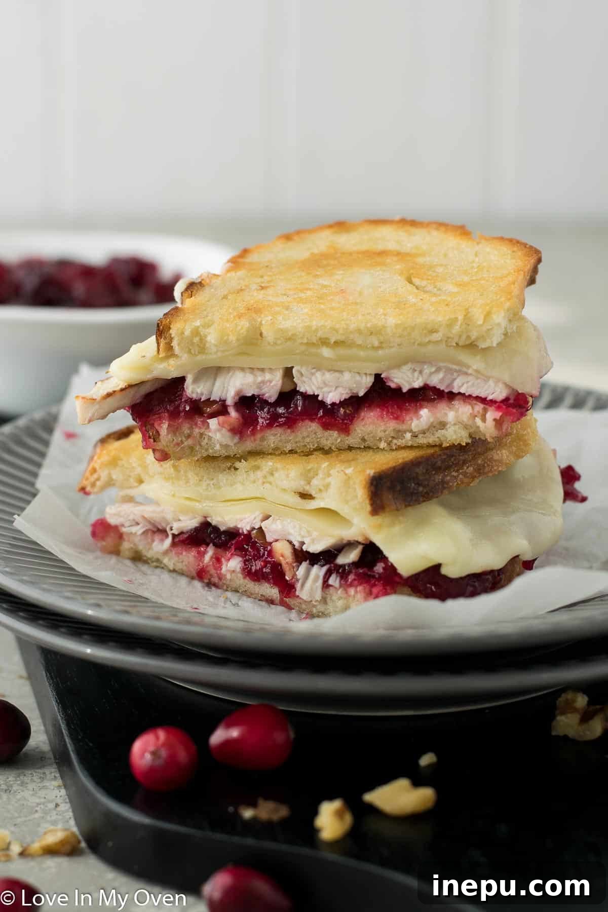 cranberry turkey sandwich