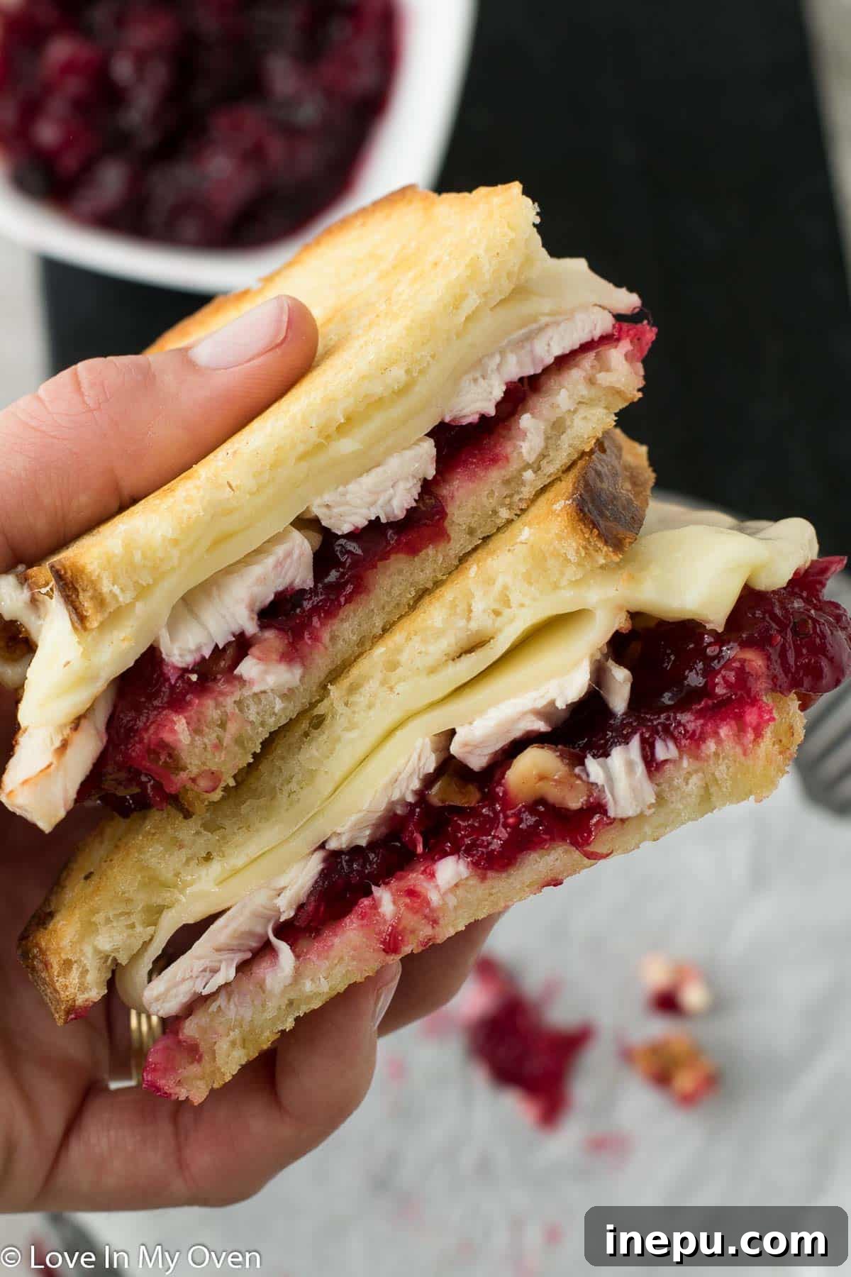 turkey cranberry sandwich
