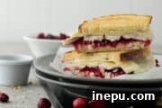 turkey cranberry sandwich