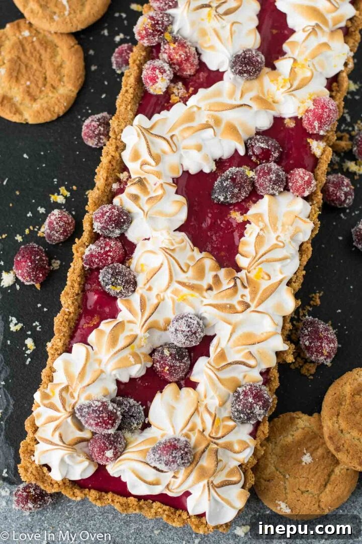 Vibrant Cranberry Curd Tart 2 Vibrant Cranberry Curd Tart with Gingersnap Crust
