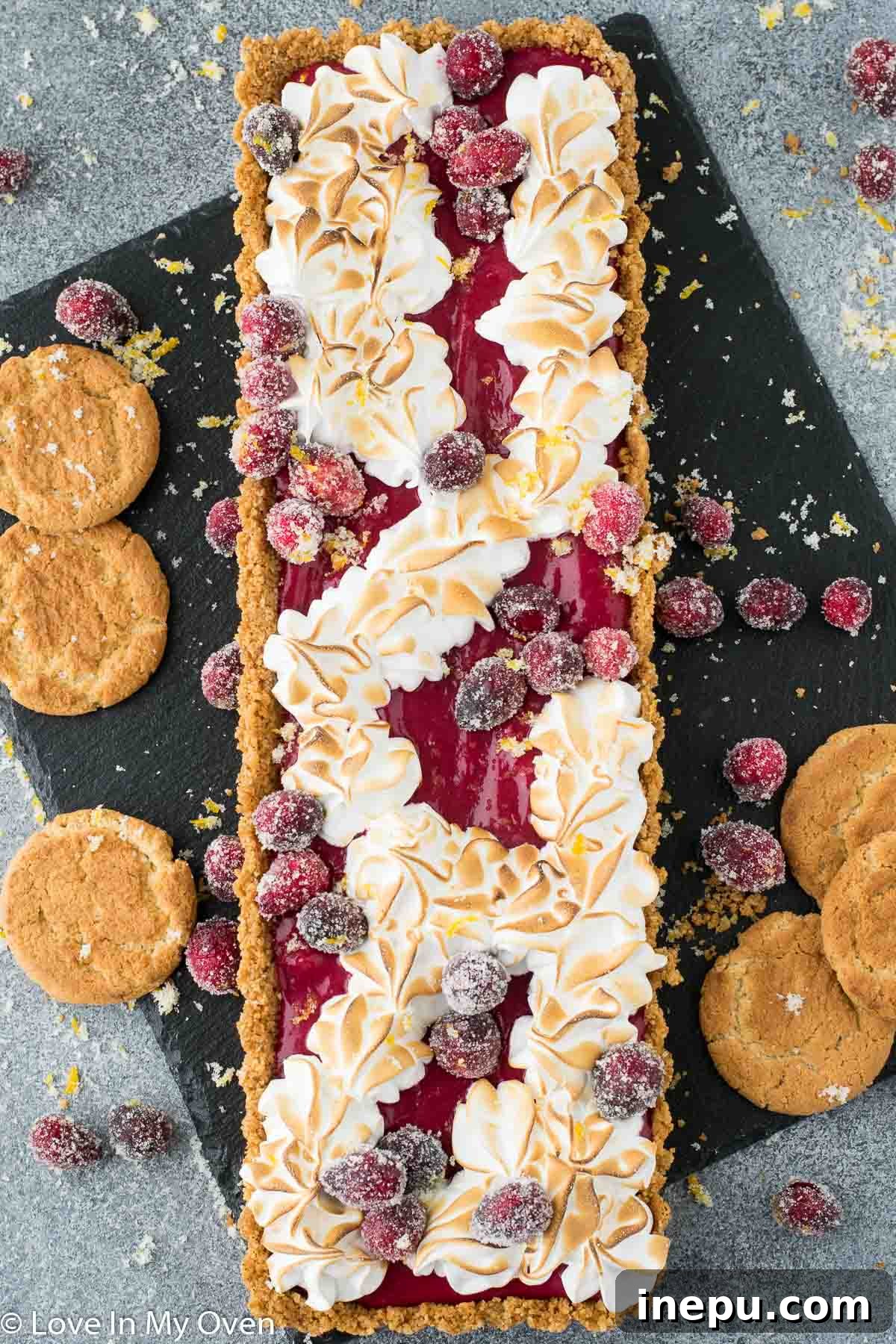Vibrant Cranberry Curd Tart 5 Toasted Swiss Meringue on Cranberry Tart