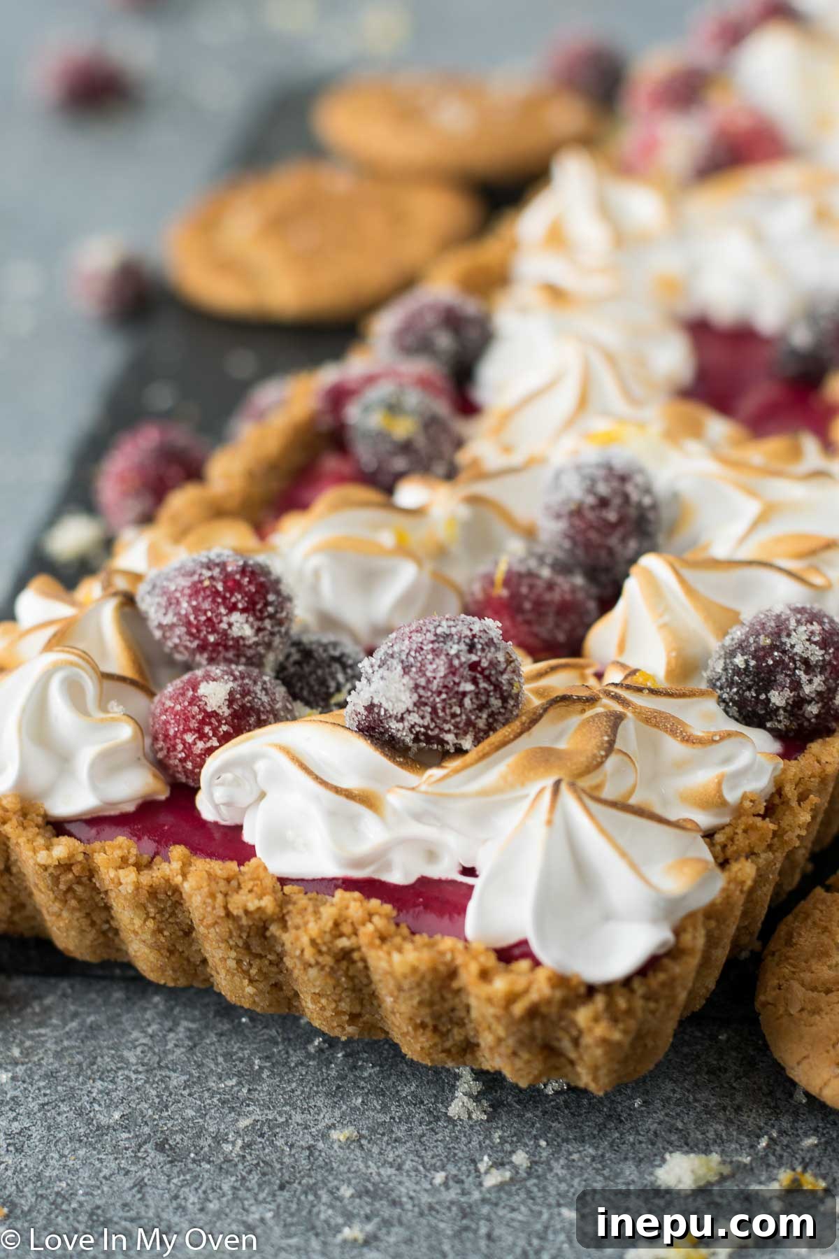 Vibrant Cranberry Curd Tart 7 Whole Cranberry Curd Tart with Fresh Cranberries