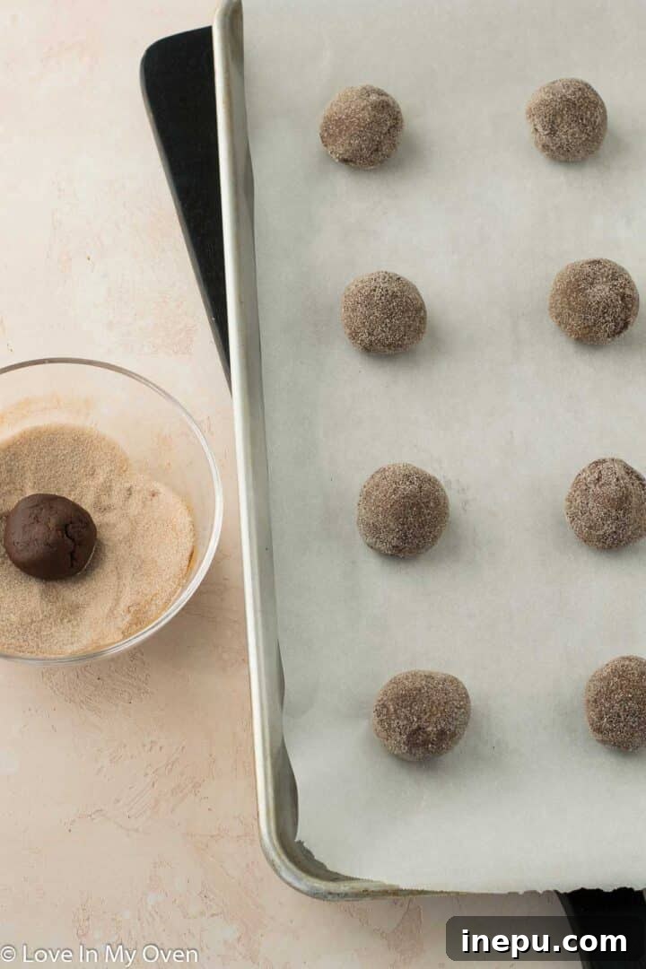 Double Chocolate Snickerdoodles 5 Chocolate snickerdoodle cookie dough balls coated in cinnamon sugar on a baking sheet
