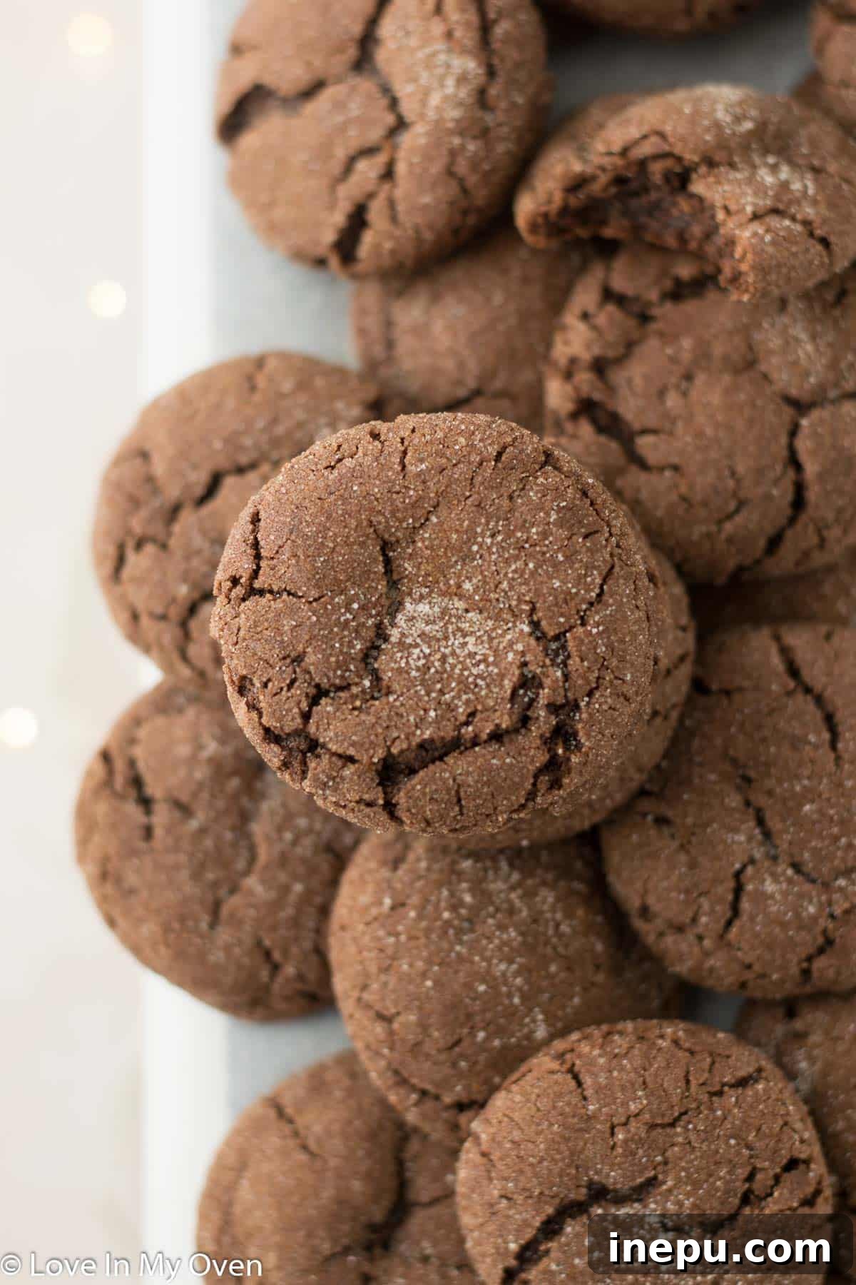 Double Chocolate Snickerdoodles 8 A pair of chocolate snickerdoodles on a white background, highlighting their texture