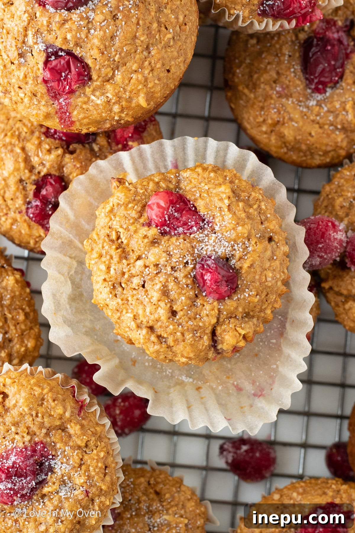 Close-up of cranberry bran muffin batter with fresh cranberries, ready for baking