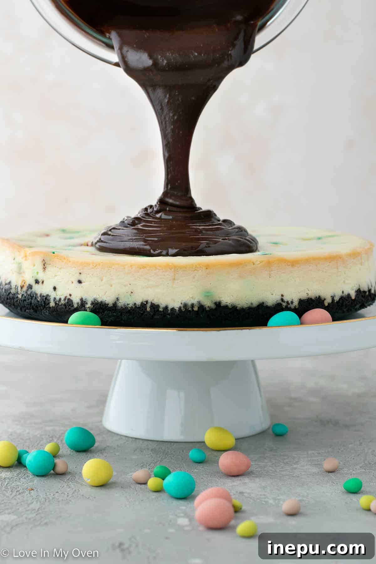 mini egg cheesecake