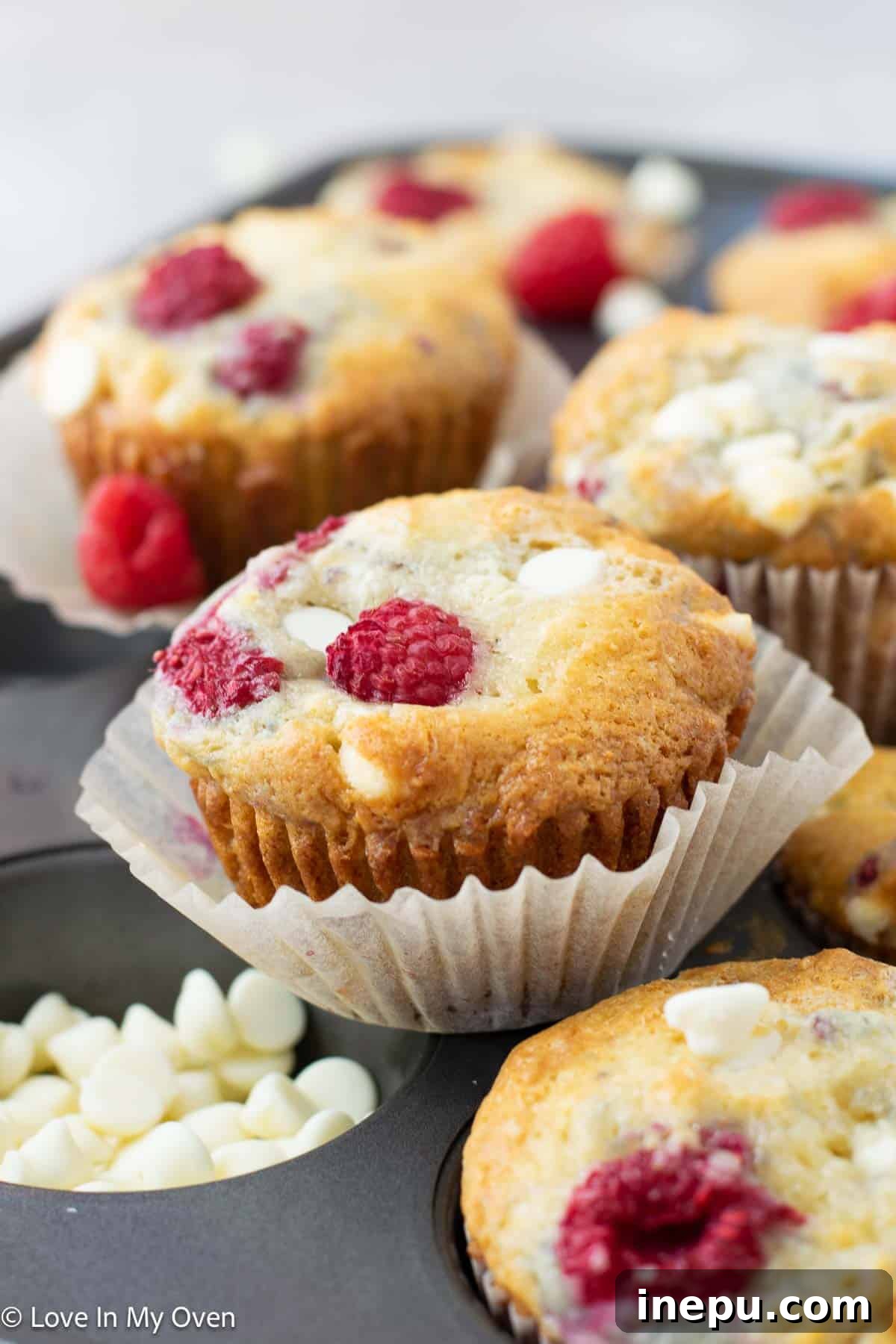 Luscious Raspberry White Chocolate Muffins 7 Delicious Raspberry White Chocolate Muffins arranged on a wire rack, cooling
