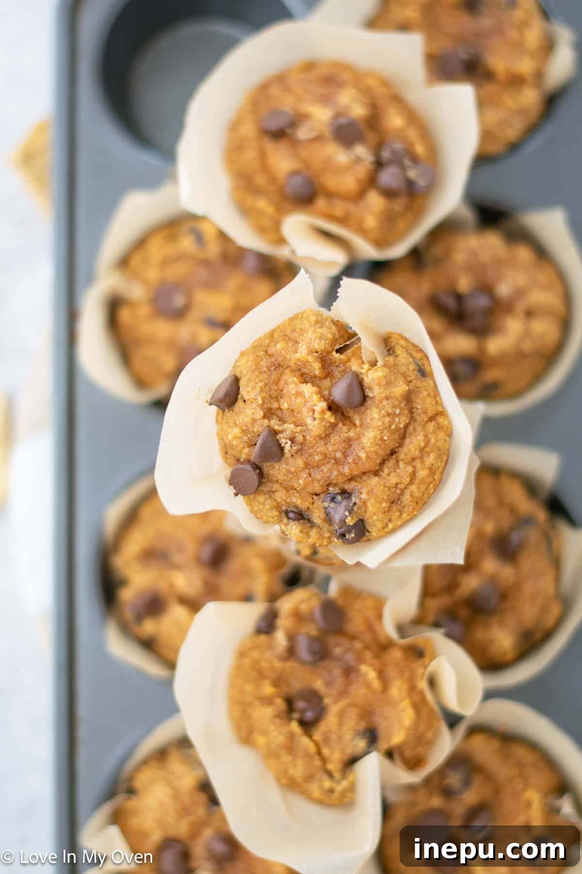 Freshly baked almond flour pumpkin muffins on a wire cooling rack, ready to be enjoyed.