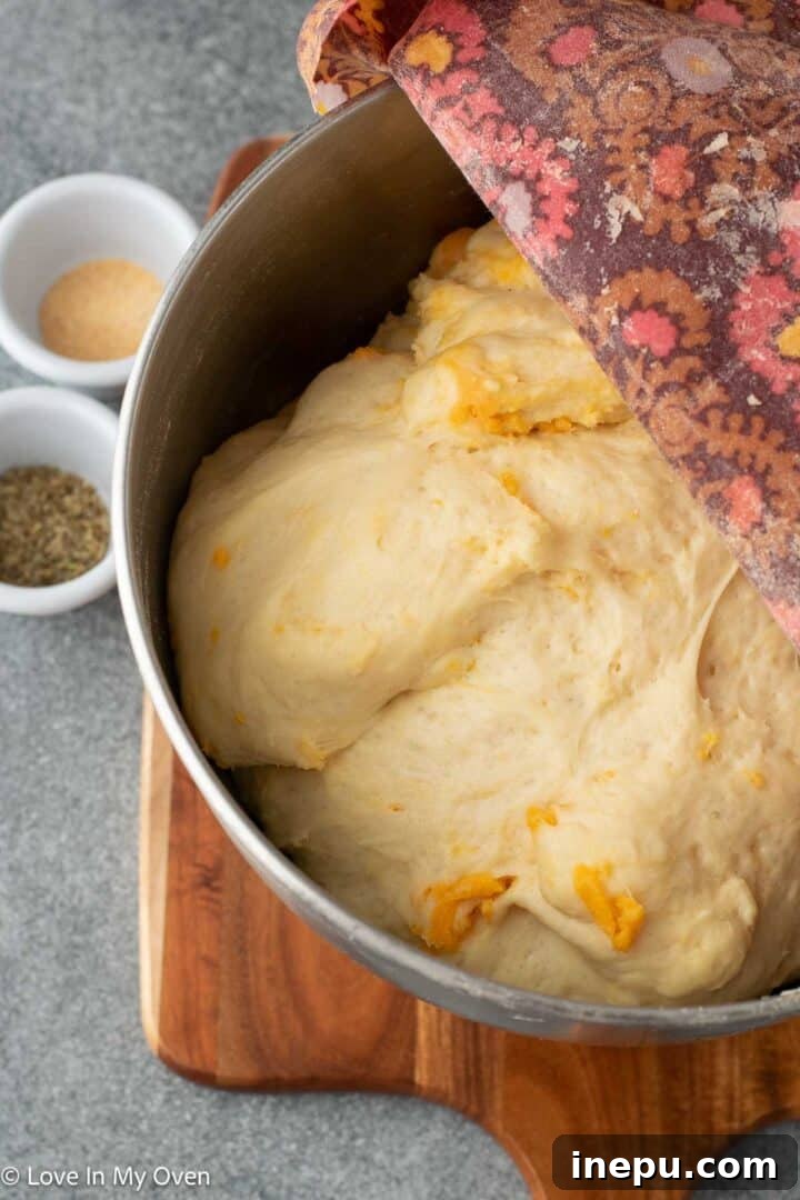 dough after first rise, doubled in size
