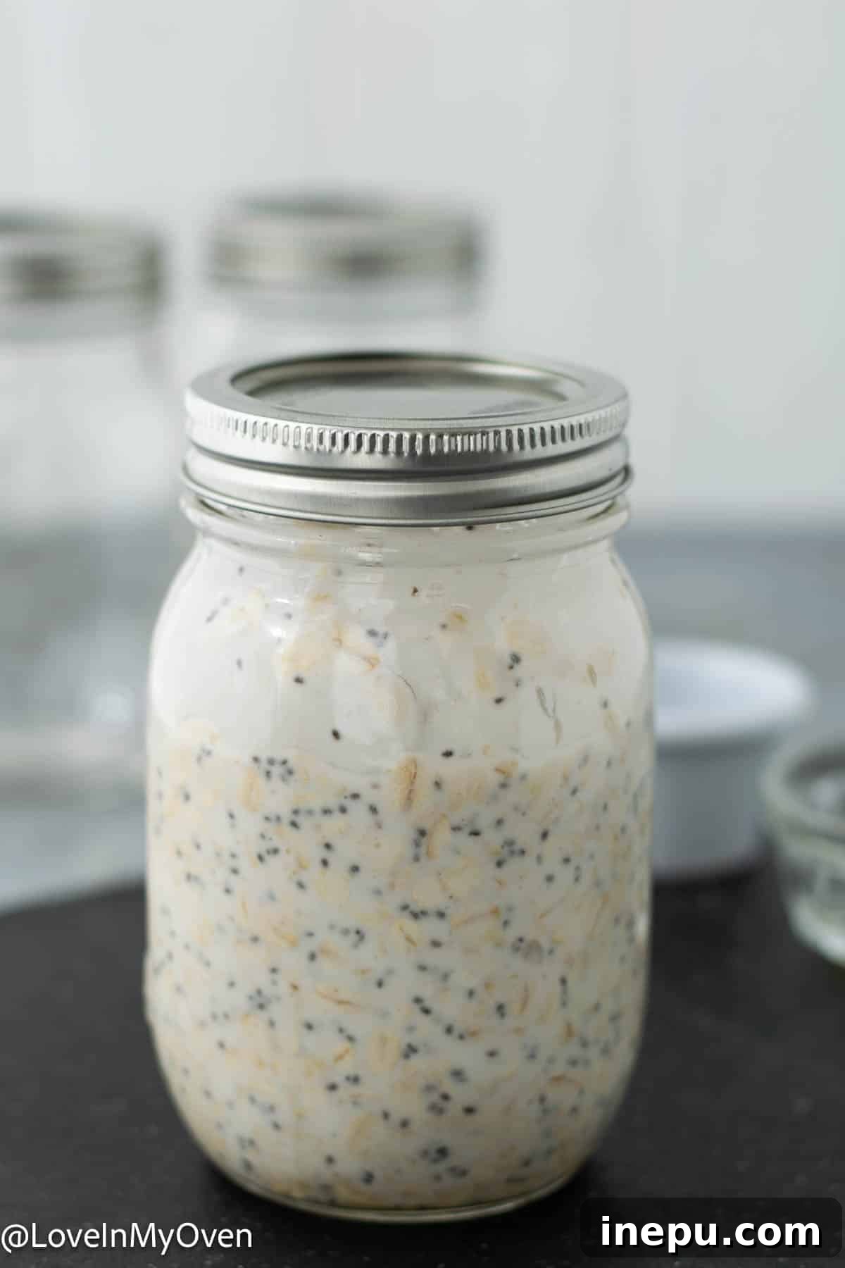 Probiotic Oat Bliss 7 Overhead view of Kefir Overnight Oats with various toppings