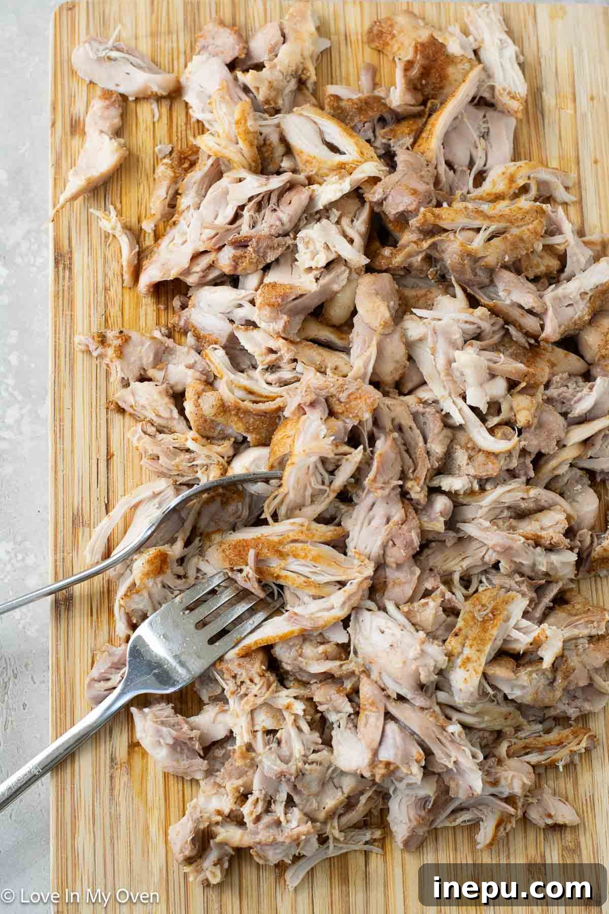 Another view of the shredded chicken