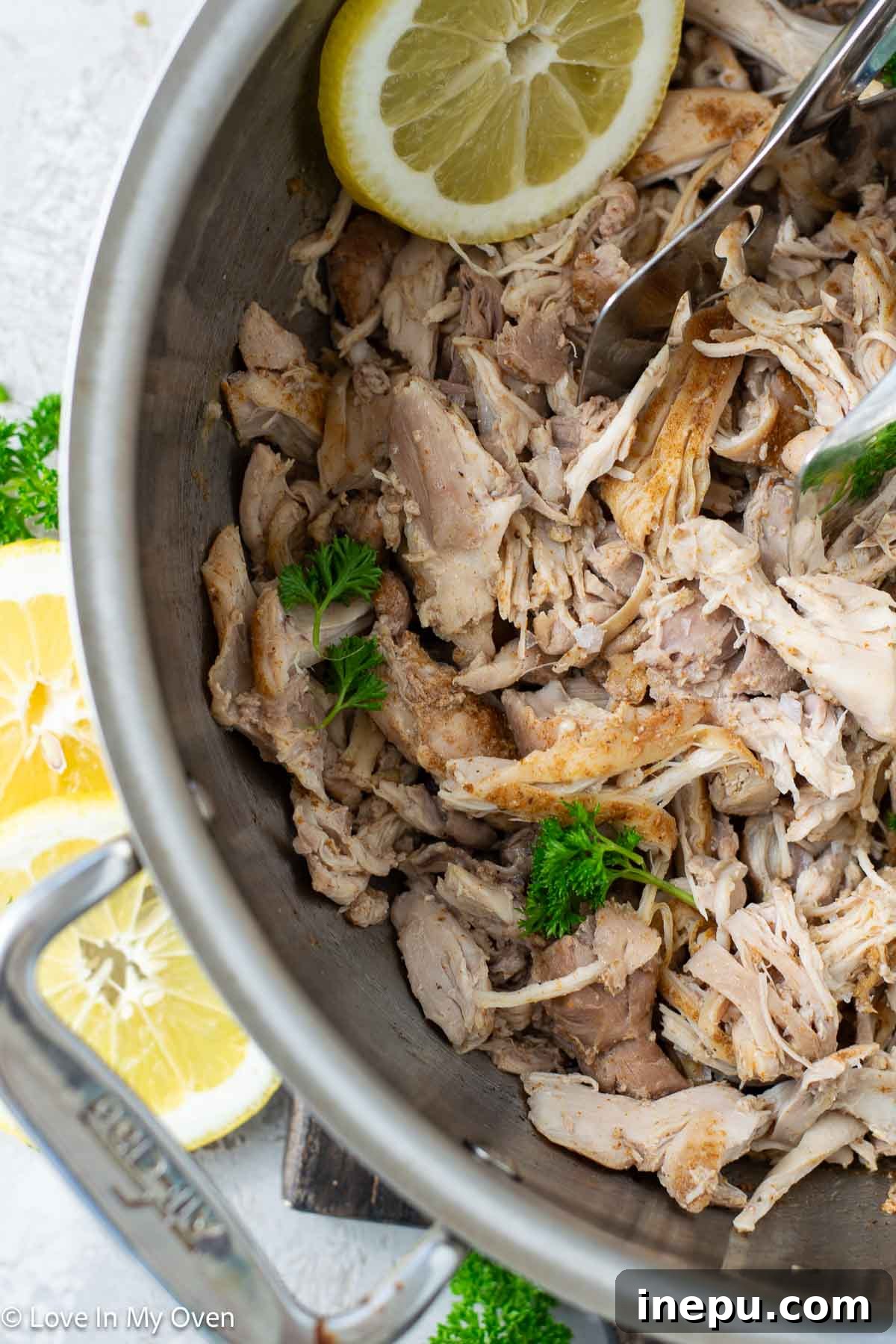Final presentation of Dutch oven pulled chicken