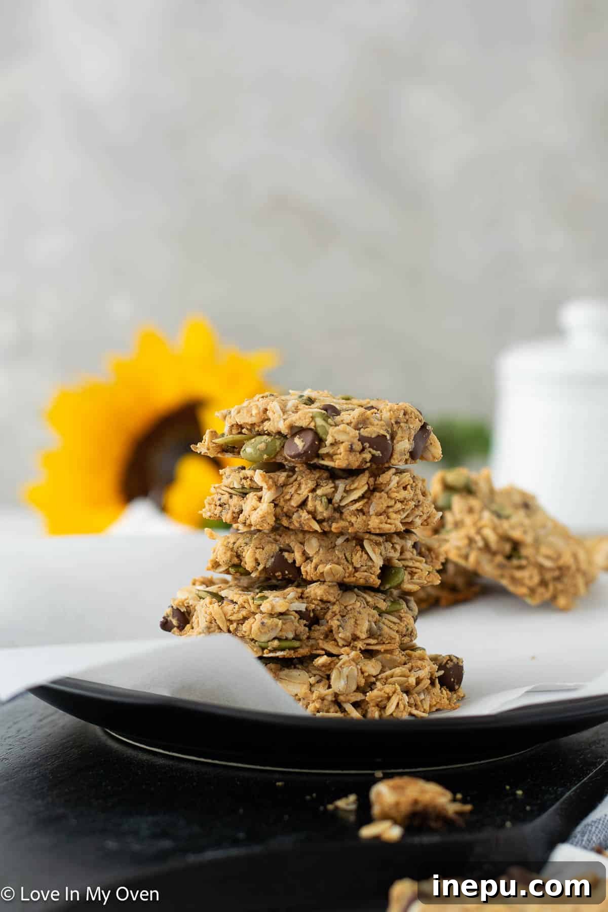 Wholesome Granola Cookie Treats 2 healthy granola cookies