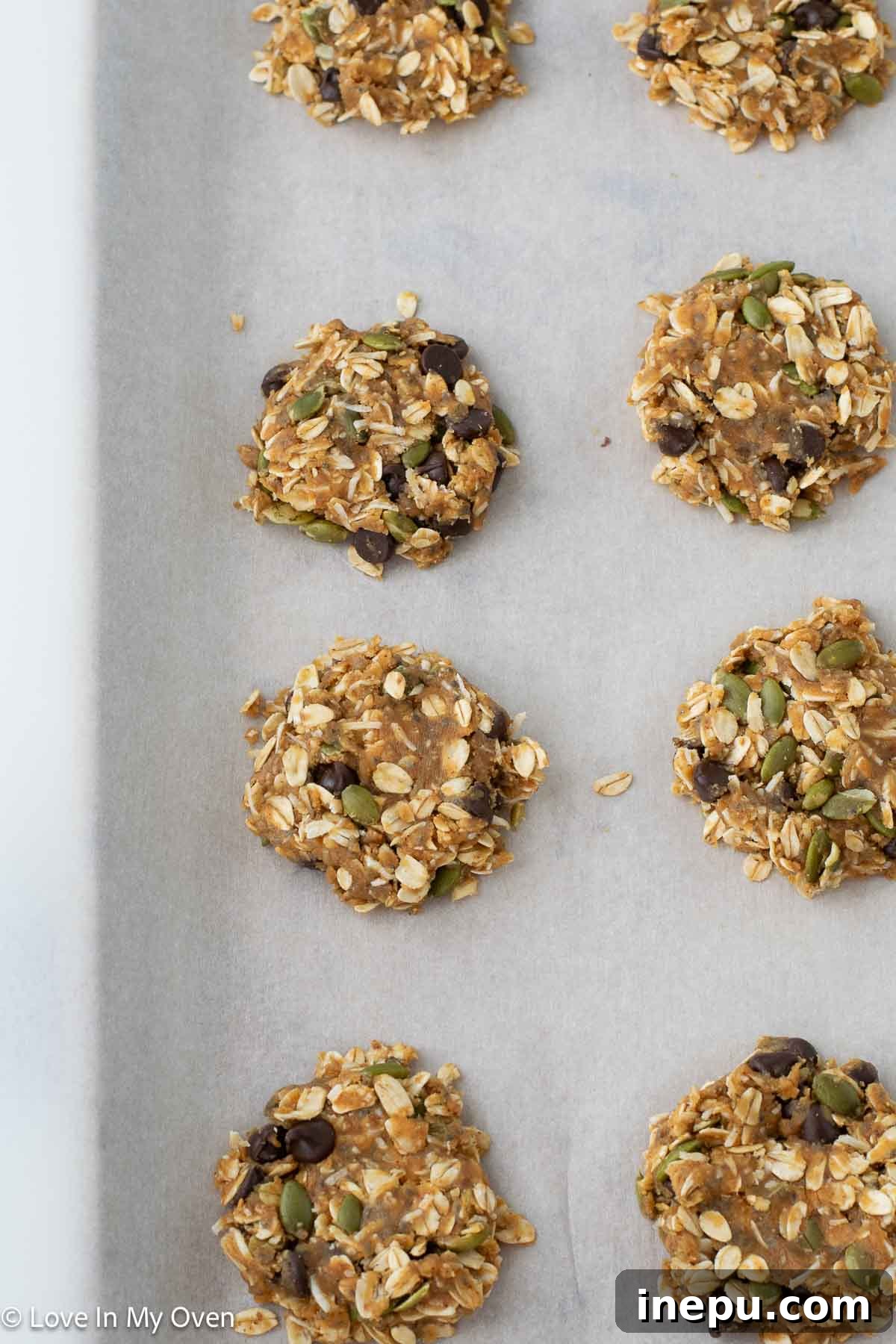 Wholesome Granola Cookie Treats 7 img 28464 6