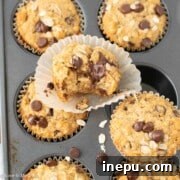 Oatmeal Chocolate Chip Muffins