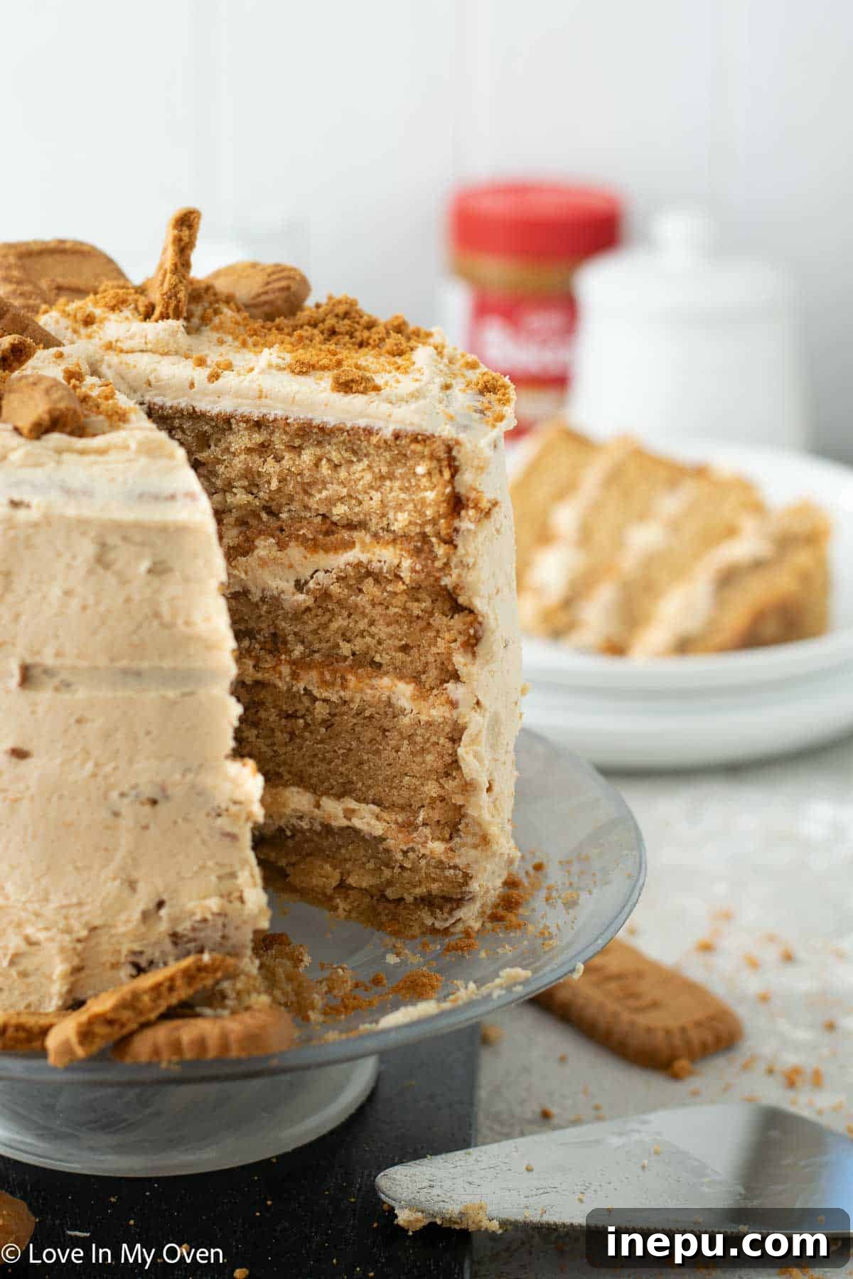 Cookie Butter Dream Cake 12 Slice of Cookie Butter Cake