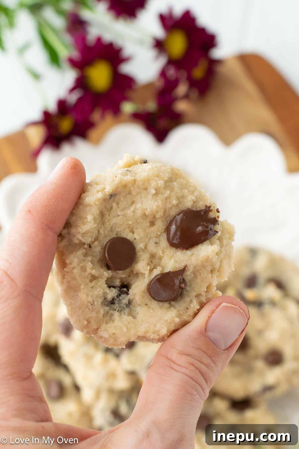 Deliciously High Protein Cottage Cheese Cookies 9 cottage cheese protein cookies