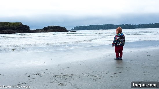 Coastal view from Tofino beach on Vancouver Island