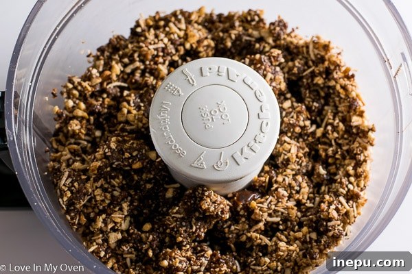 Guiltless Choco-Coconut Delights 4 Mixing ingredients in food processor for nests