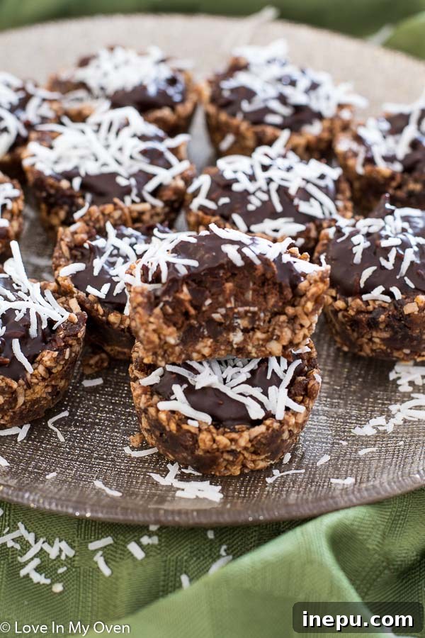 Guiltless Choco-Coconut Delights 8 Closeup of healthy chocolate coconut nests