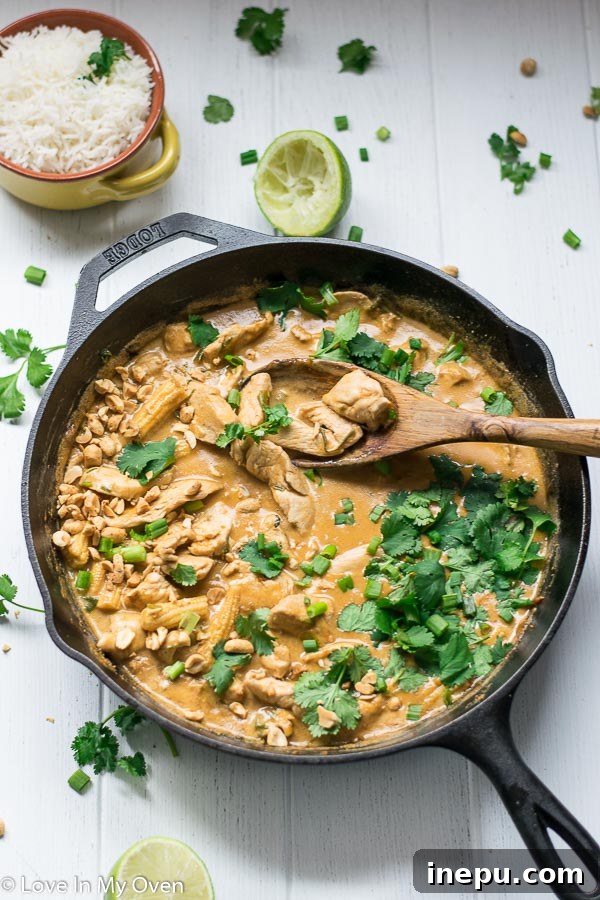 Velvet Thai Peanut Chicken Curry 2 Delicious Thai Chicken Peanut Curry served in a bowl with rice and garnished with cilantro