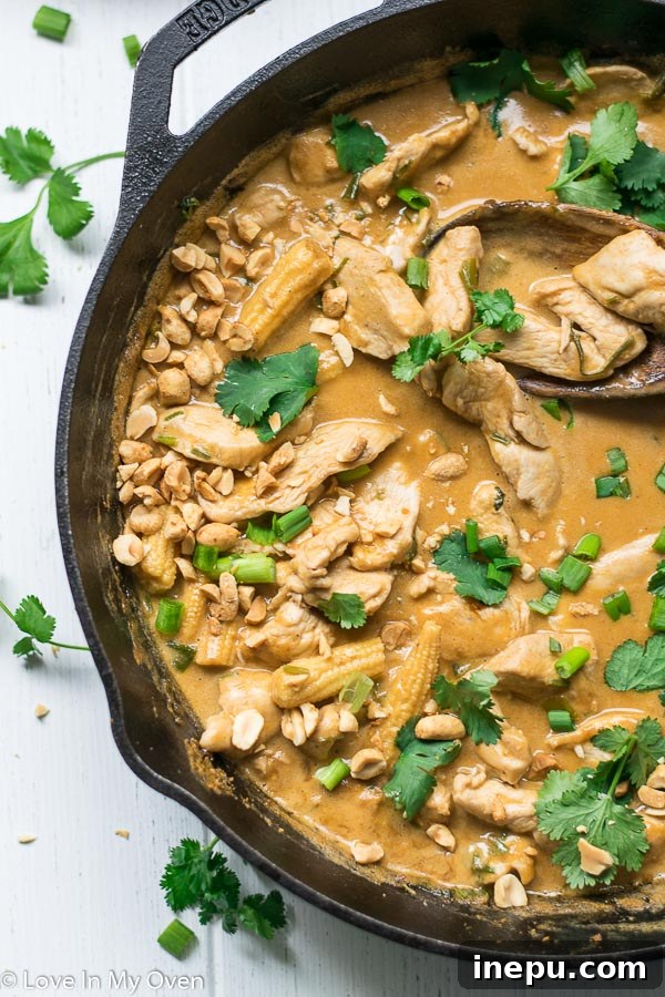 Velvet Thai Peanut Chicken Curry 3 Close-up of creamy Thai Chicken Peanut Curry with tender chicken and baby corn pieces