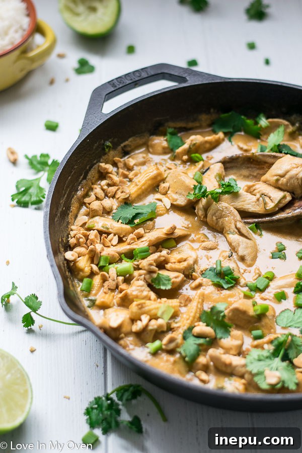 Velvet Thai Peanut Chicken Curry 6 Bowl of Thai Chicken Peanut Curry garnished with fresh cilantro and crushed peanuts
