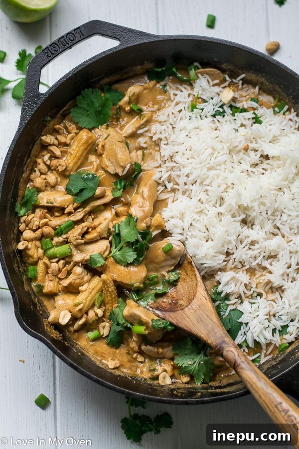 Velvet Thai Peanut Chicken Curry 7 Overhead view of Thai Chicken Peanut Curry in a ceramic bowl with a spoon, ready to eat