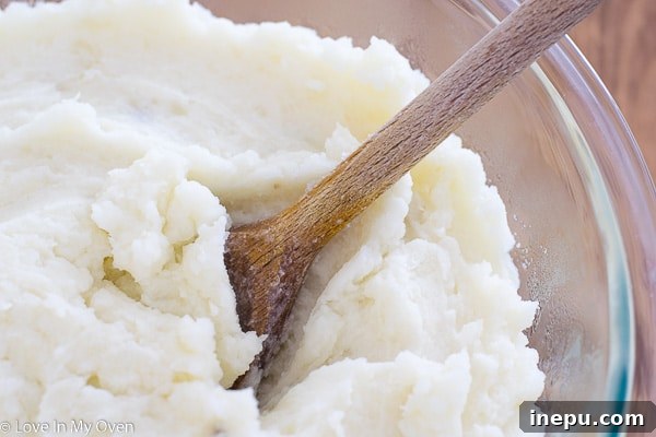 Effortless Perogies 5 Mashed potatoes being seasoned, a key component for the perogy casserole.