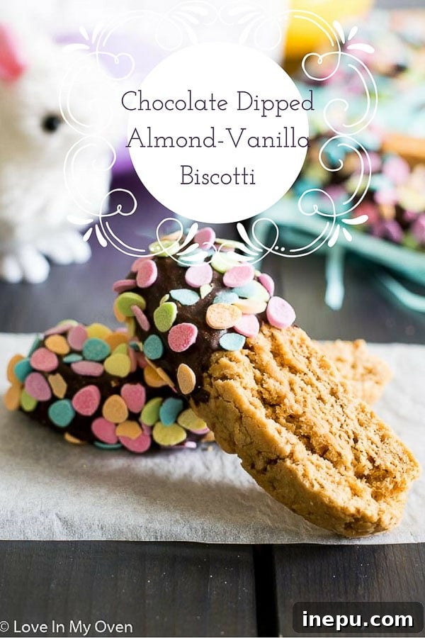 Artisan Chocolate Kissed Biscotti 2 chocolate dipped almond-vanilla biscotti