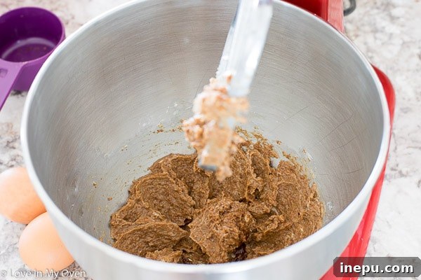 Artisan Chocolate Kissed Biscotti 4 biscotti dough