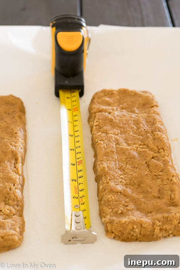 Artisan Chocolate Kissed Biscotti 5 almond-vanilla biscotti logs