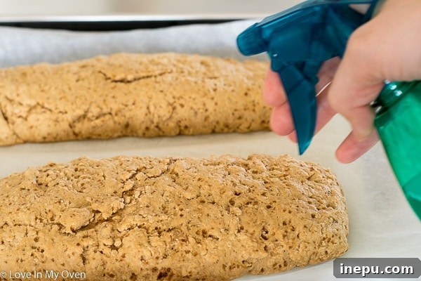 Artisan Chocolate Kissed Biscotti 6 img 6624 5
