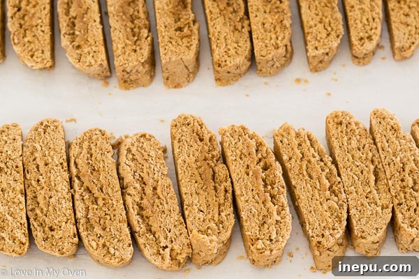 Artisan Chocolate Kissed Biscotti 8 img 6624 7