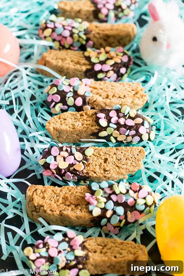 Artisan Chocolate Kissed Biscotti 10 almond-vanilla biscotti