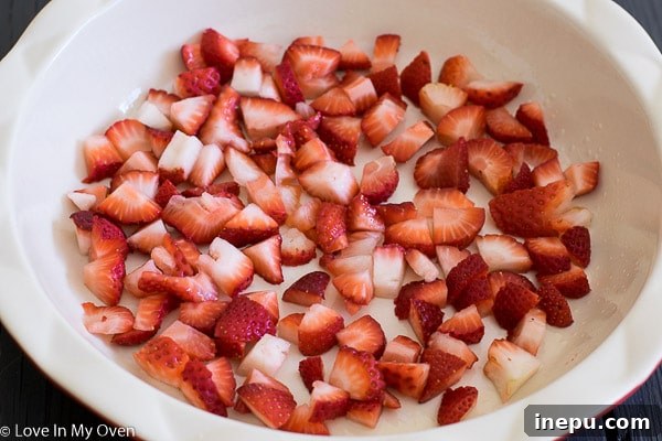 Strawberry Streusel Baked Oats 4 Diced fresh strawberries layered at the bottom of a baking dish, ready for the oatmeal mixture