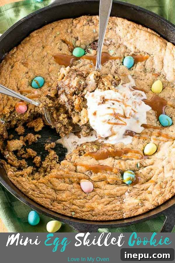 Final shot of a Giant Mini Egg Skillet Cookie, with some ice cream, ready to be served