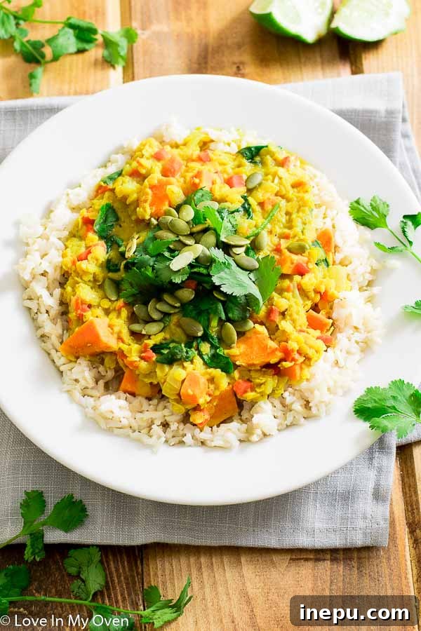 Fragrant Thai Coconut Lentils 2 Delicious and creamy golden lentil curry served in a rustic bowl, garnished with fresh cilantro.