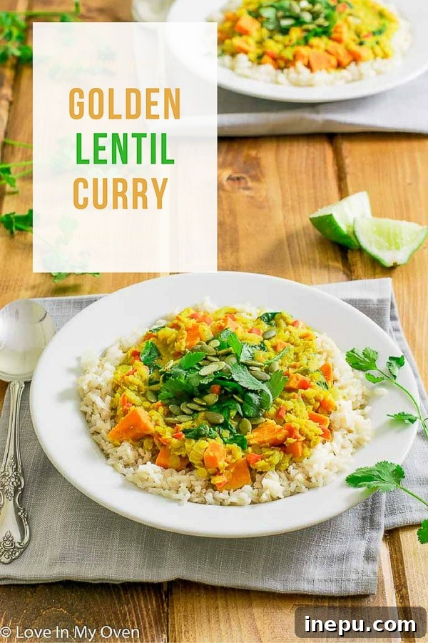 Fragrant Thai Coconut Lentils 9 A beautifully plated bowl of golden lentil curry, garnished with fresh cilantro and a lime wedge, ready to be eaten.