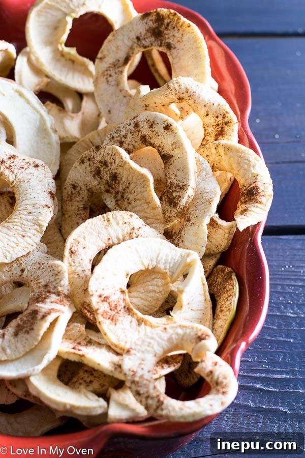 Dehydrated apple chips on a tray