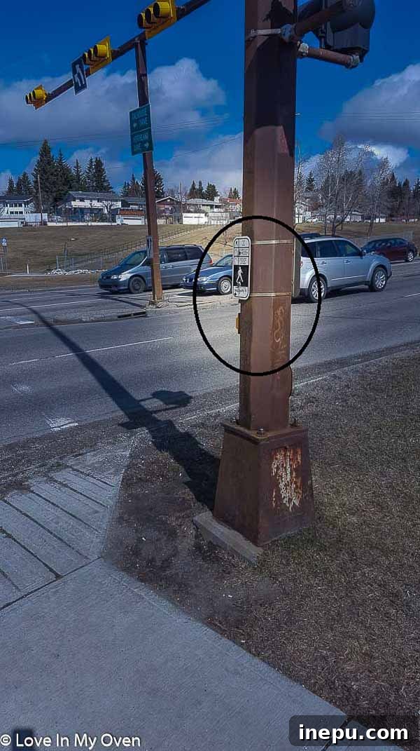 Pedestrian crossing button on the wrong side of the streetlight