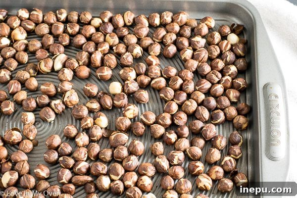 Roasted hazelnuts spread on a baking sheet, cooling slightly after coming out of the oven.