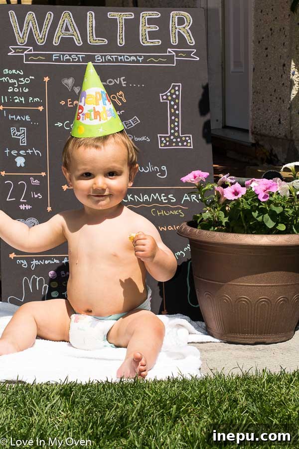 Chapter Four: The Turning of the Year 2 Walter's First Birthday Celebration: Joyful Mom Reflects on Challenging First Year