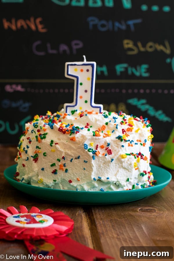 Chapter Four: The Turning of the Year 4 First Birthday Smash Cake: A Milestone for High-Needs Babies